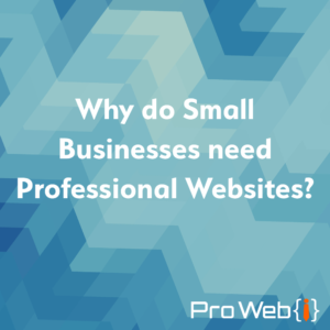 Why do small businesses need professional websites