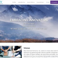 Blue Diamond Ventures website designed by Pro Web Marketing