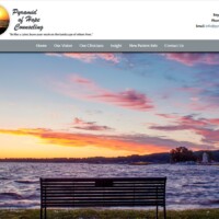 Pyramid of Hope Counseling website designed by Pro Web Marketing