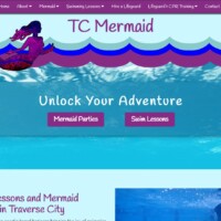 TC Mermaid website designed by Pro Web marketing