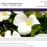 Trillium Counseling Services website designed by pro web marketing