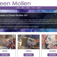 Eileen Mollen website designed by Pro Web Marketing