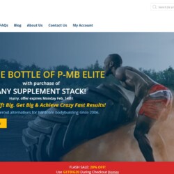 CrazyMass home page designed by Pro Web Marketing